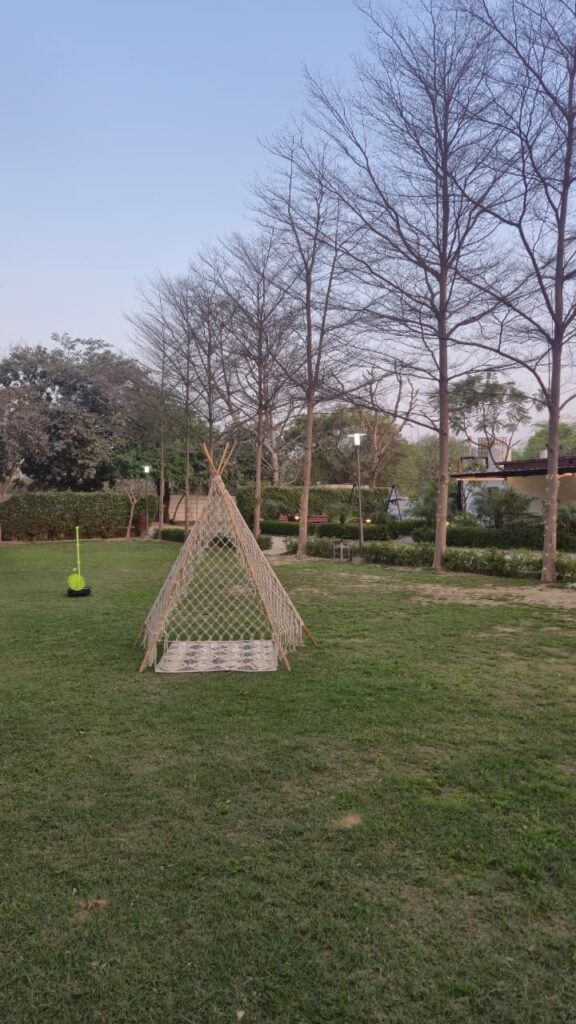 Lawn Area